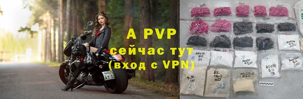 spice Белокуриха