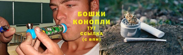 трава Беломорск