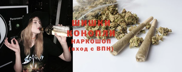 амф Дрезна