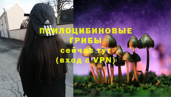 мет Осташков