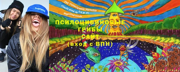 трава Беломорск